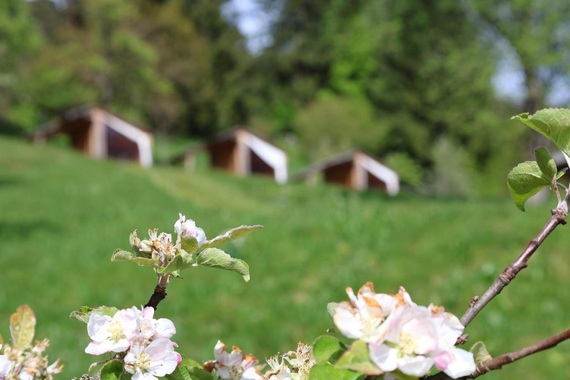 Mountain View Glamping Βίλα Dovje Εξωτερικό φωτογραφία